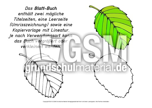 Mini-Buch-Blatt.pdf